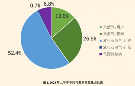 可燃?xì)怏w預(yù)校準(zhǔn)模塊fsm 19t 02助力餐飲業(yè)用氣安全